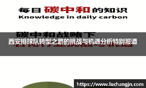 西安排球队转型之路的挑战与机遇分析特别报道