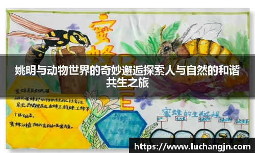 姚明与动物世界的奇妙邂逅探索人与自然的和谐共生之旅