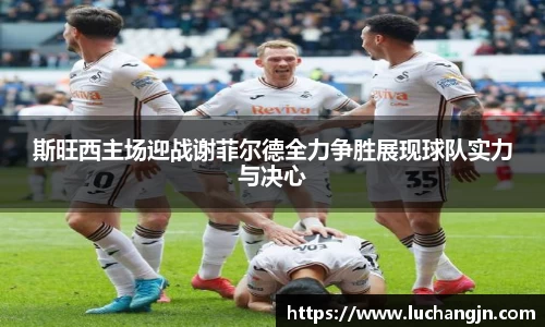 斯旺西主场迎战谢菲尔德全力争胜展现球队实力与决心