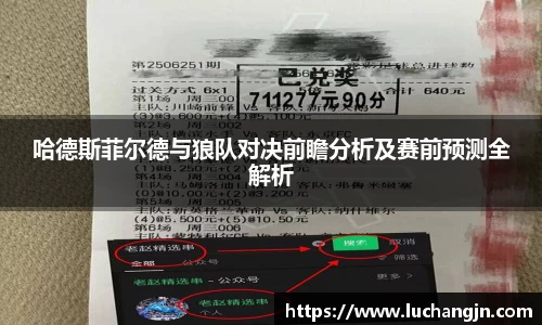 哈德斯菲尔德与狼队对决前瞻分析及赛前预测全解析