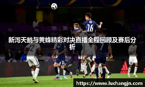 新泻天鹅与黄蜂精彩对决直播全程回顾及赛后分析